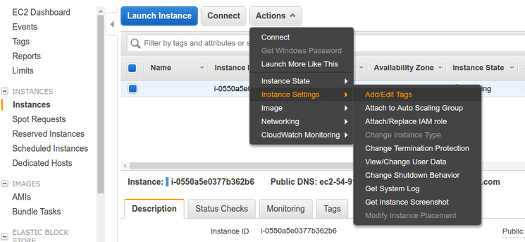 Instance tag
